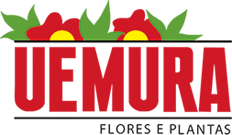Uemura Flores e Plantas